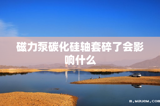 磁力泵碳化硅轴套碎了会影响什么