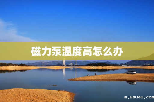 磁力泵温度高怎么办