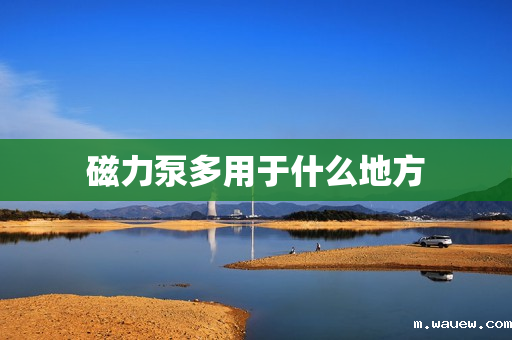 磁力泵多用于什么地方