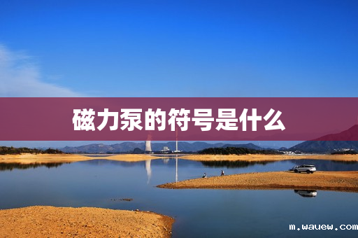 磁力泵的符号是什么