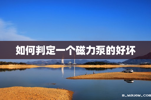 如何判定一个磁力泵的好坏