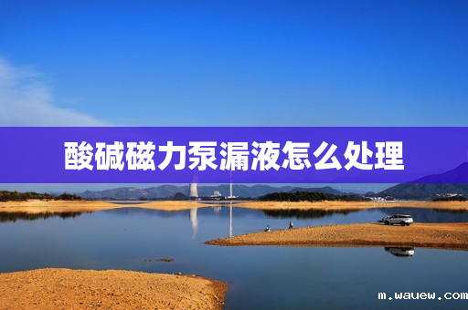 酸碱磁力泵漏液怎么处理