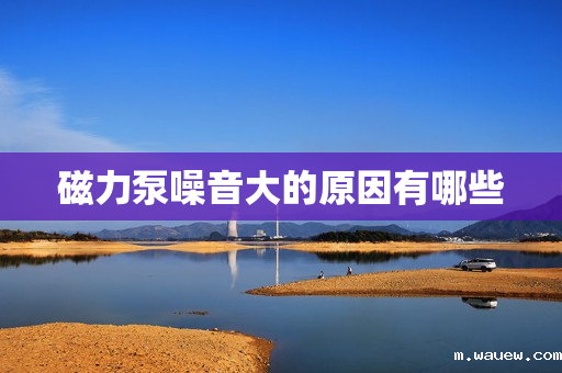 磁力泵噪音大的原因有哪些