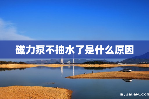 磁力泵不抽水了是什么原因