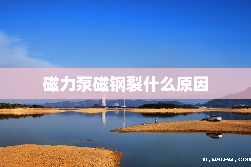 磁力泵磁钢裂什么原因