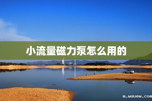 小流量磁力泵怎么用的