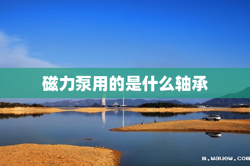 磁力泵用的是什么轴承