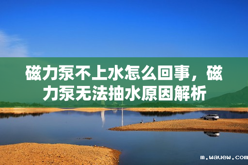 磁力泵不上水怎么回事，磁力泵无法抽水原因解析