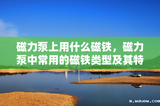 磁力泵上用什么磁铁，磁力泵中常用的磁铁类型及其特性