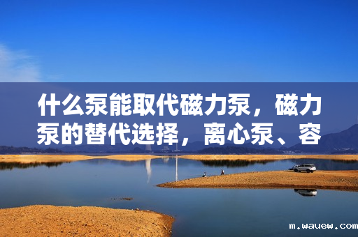 什么泵能取代磁力泵，磁力泵的替代选择，离心泵、容积泵等四种泵型介绍