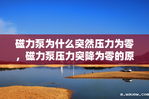 磁力泵为什么突然压力为零，磁力泵压力突降为零的原因解析