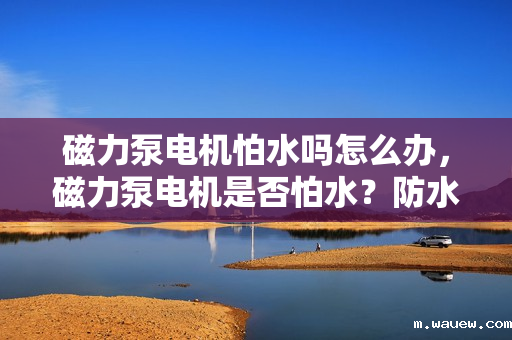 磁力泵电机怕水吗怎么办，磁力泵电机是否怕水？防水措施与解决方案