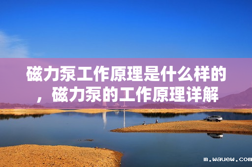 磁力泵工作原理是什么样的，磁力泵的工作原理详解