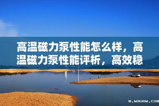 高温磁力泵性能怎么样，高温磁力泵性能评析，高效稳定，满足高温工况需求