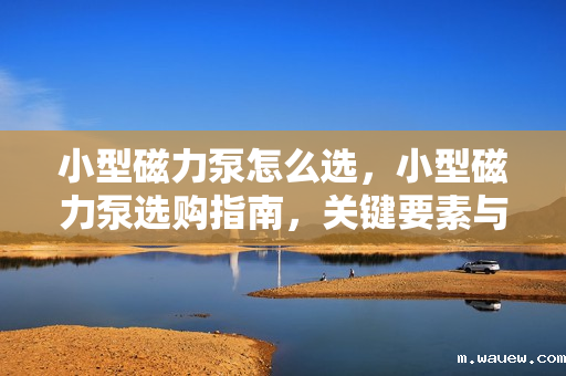 小型磁力泵怎么选，小型磁力泵选购指南，关键要素与步骤