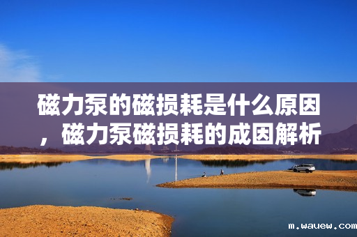 磁力泵的磁损耗是什么原因，磁力泵磁损耗的成因解析