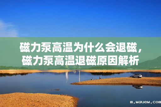 磁力泵高温为什么会退磁，磁力泵高温退磁原因解析