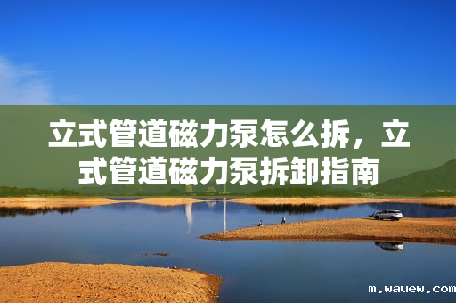 立式管道磁力泵怎么拆，立式管道磁力泵拆卸指南